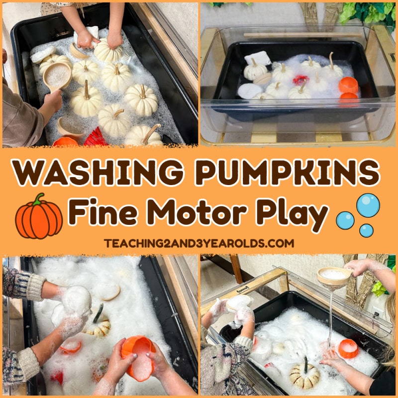 preschool pumpkin washing activity