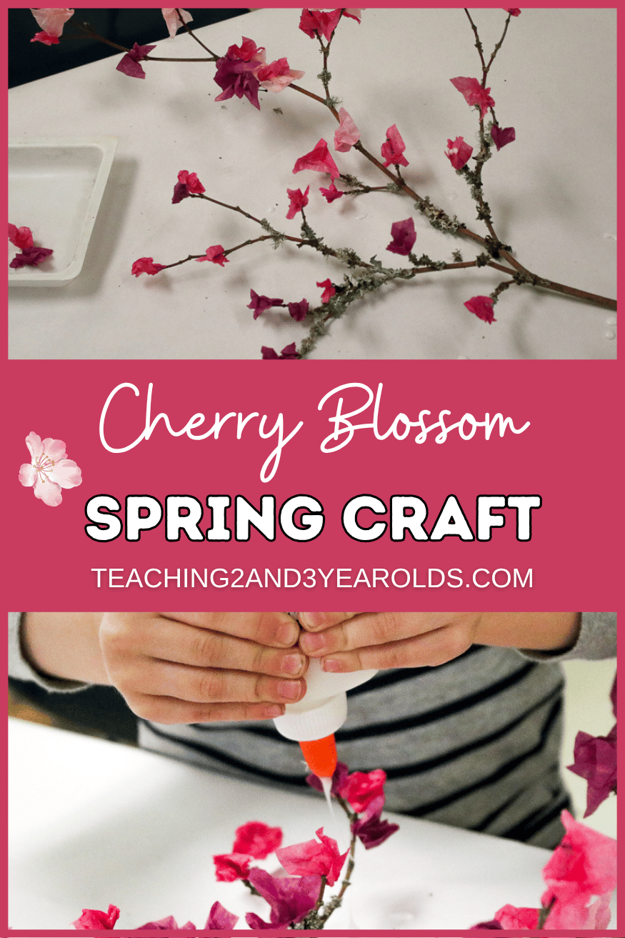 cherry blossom craft for preschoolers