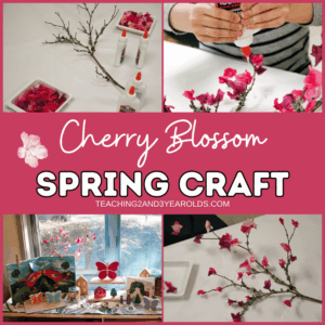 cherry blossom craft for preschoolers