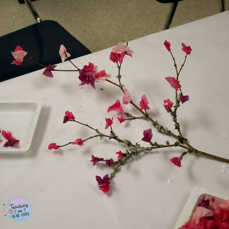 cherry blossom craft for preschoolers